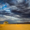 NAM HAR Dune45 2016NOV21 093 : 2016 - African Adventures, Hardap, Namibia, Southern, Africa, Dune 45, 2016, November